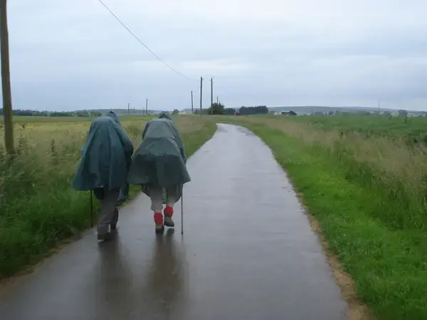 Monte Escalier 29 Installateur Monte Escalier Saint-Martin-des-Champs